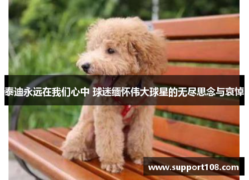 泰迪永远在我们心中 球迷缅怀伟大球星的无尽思念与哀悼