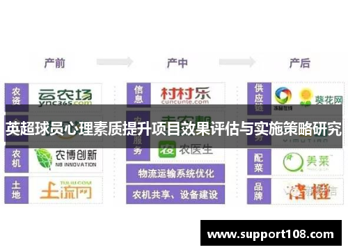 英超球员心理素质提升项目效果评估与实施策略研究