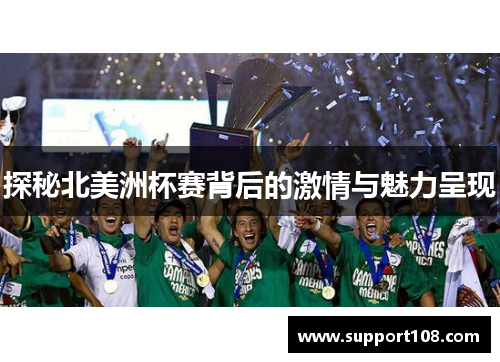 探秘北美洲杯赛背后的激情与魅力呈现